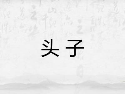 头子 头子