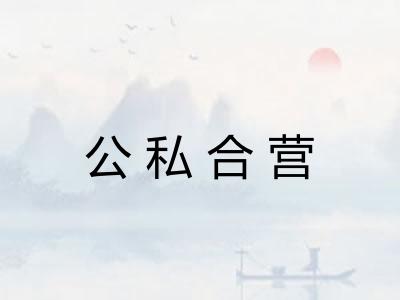 公私合营 公私合营