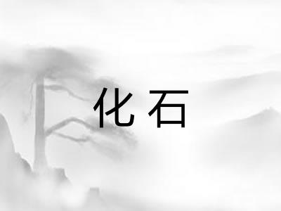 化石 化石
