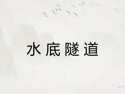 水底隧道 水底隧道