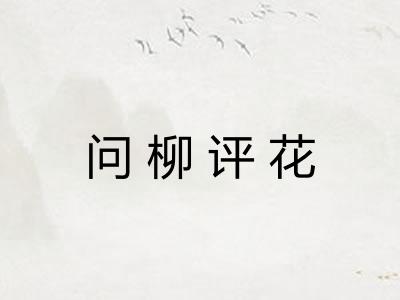 问柳评花 问柳评花