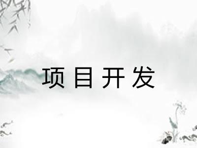 项目开发 项目开发