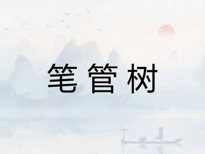 笔管树 笔管树