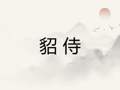 貂侍
