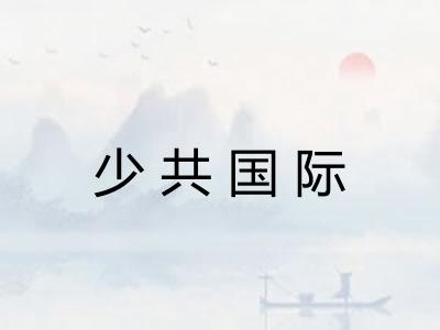 少共国际 少共国际