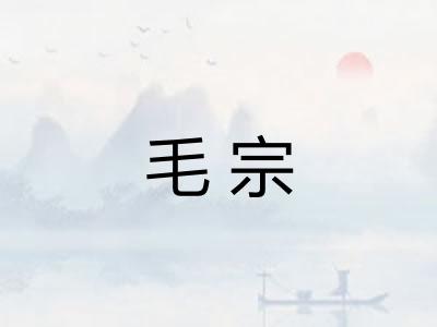 毛宗