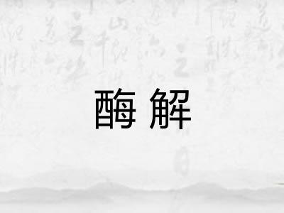 酶解 酶解