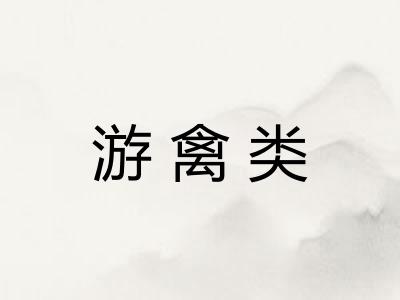 游禽类 游禽类