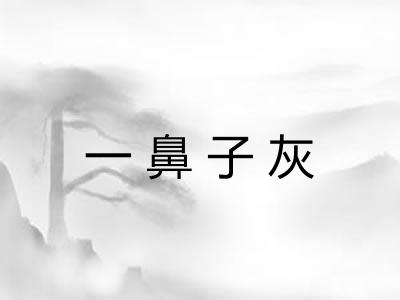 一鼻子灰 一鼻子灰