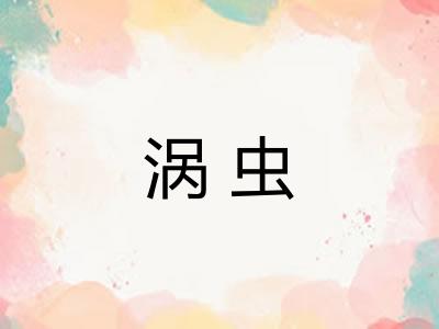 涡虫 涡虫