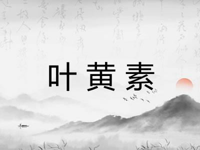 叶黄素 叶黄素