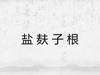 盐麸子根 盐麸子根