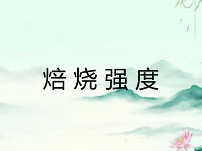 焙烧强度 焙烧强度