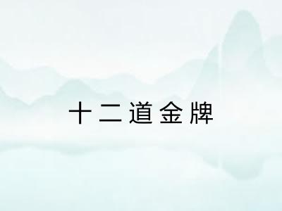 十二道金牌 十二道金牌
