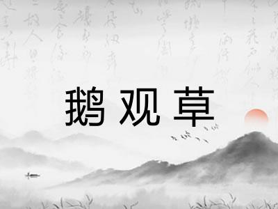 鹅观草 鹅观草