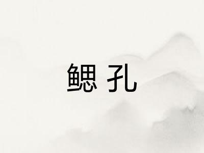 鳃孔