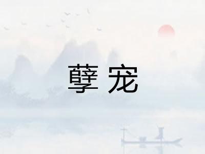 孽宠