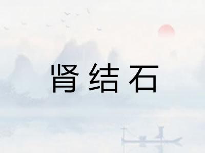 肾结石 肾结石