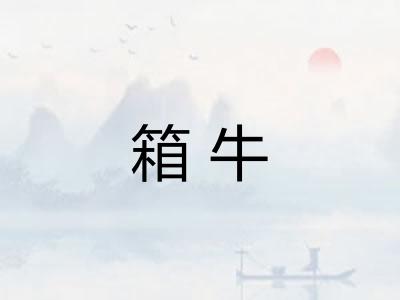 箱牛
