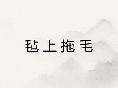 毡上拖毛 毡上拖毛