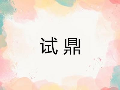 试鼎 试鼎