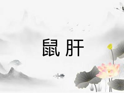 鼠肝