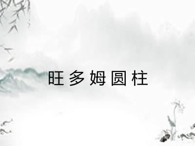 旺多姆圆柱 旺多姆圆柱