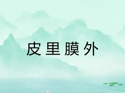 皮里膜外 皮里膜外