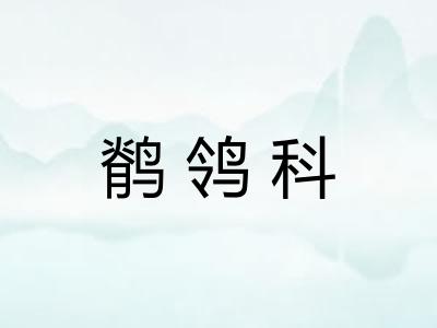 鹡鸰科 鹡鸰科