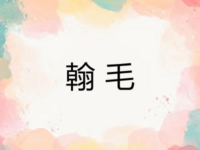 翰毛 翰毛