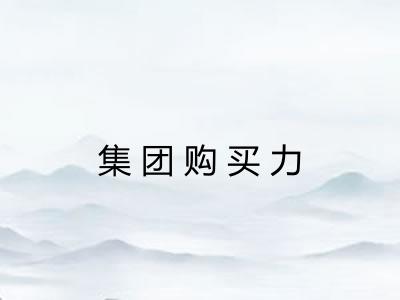集团购买力