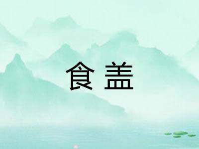 食盖