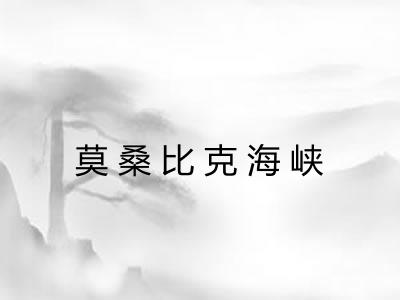 莫桑比克海峡 莫桑比克海峡