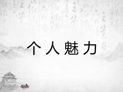 个人魅力 个人魅力
