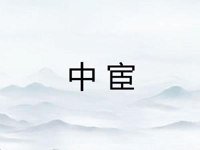 中宦