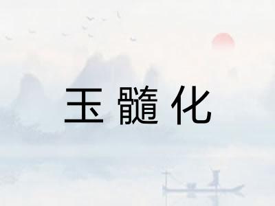 玉髓化