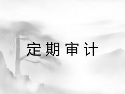 定期审计 定期审计