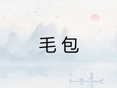 毛包