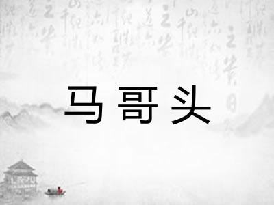 马哥头 马哥头