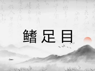 鳍足目