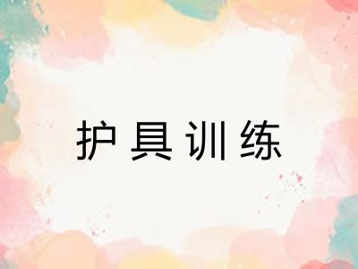 护具训练 护具训练