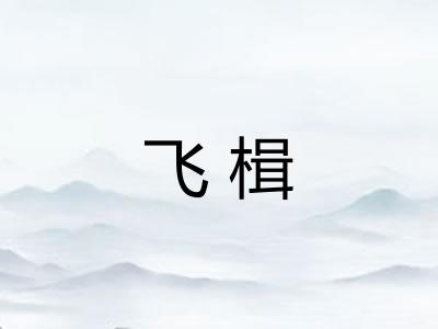飞楫
