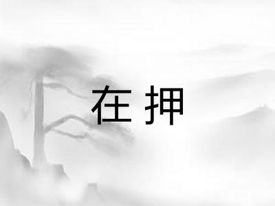 在押 在押