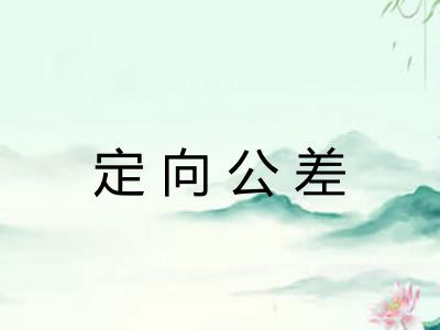 定向公差 定向公差