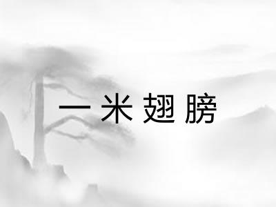 一米翅膀 一米翅膀