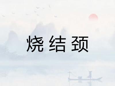烧结颈 烧结颈