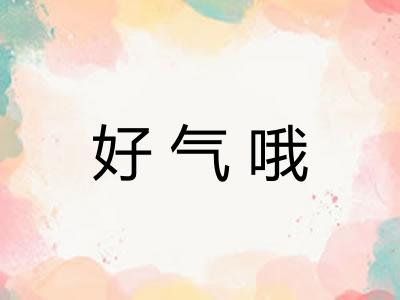 好气哦