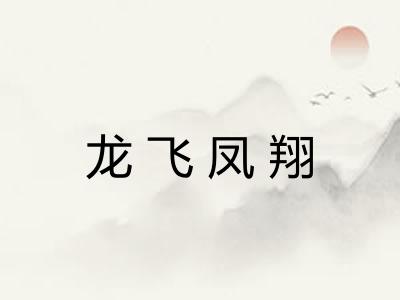 龙飞凤翔 龙飞凤翔
