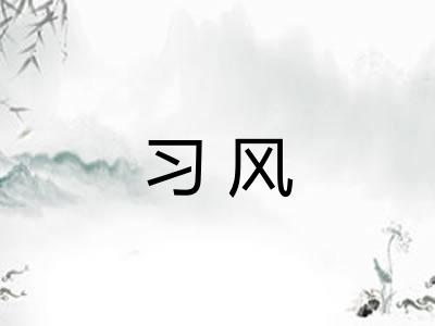 习风