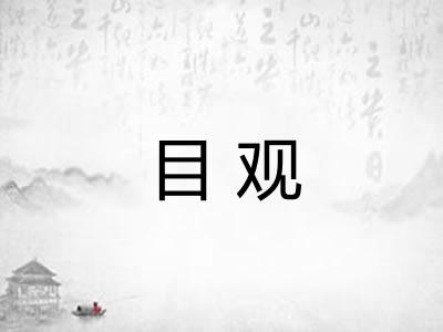 目观 目观